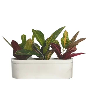 jardinera-blanca-plantas