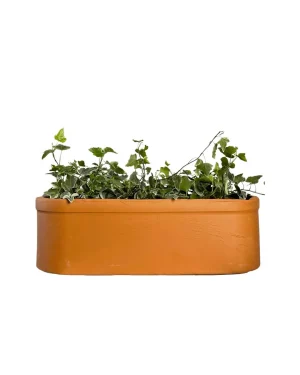 jardinera-terracota-plantas