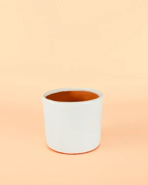 mini-maceta-blanca