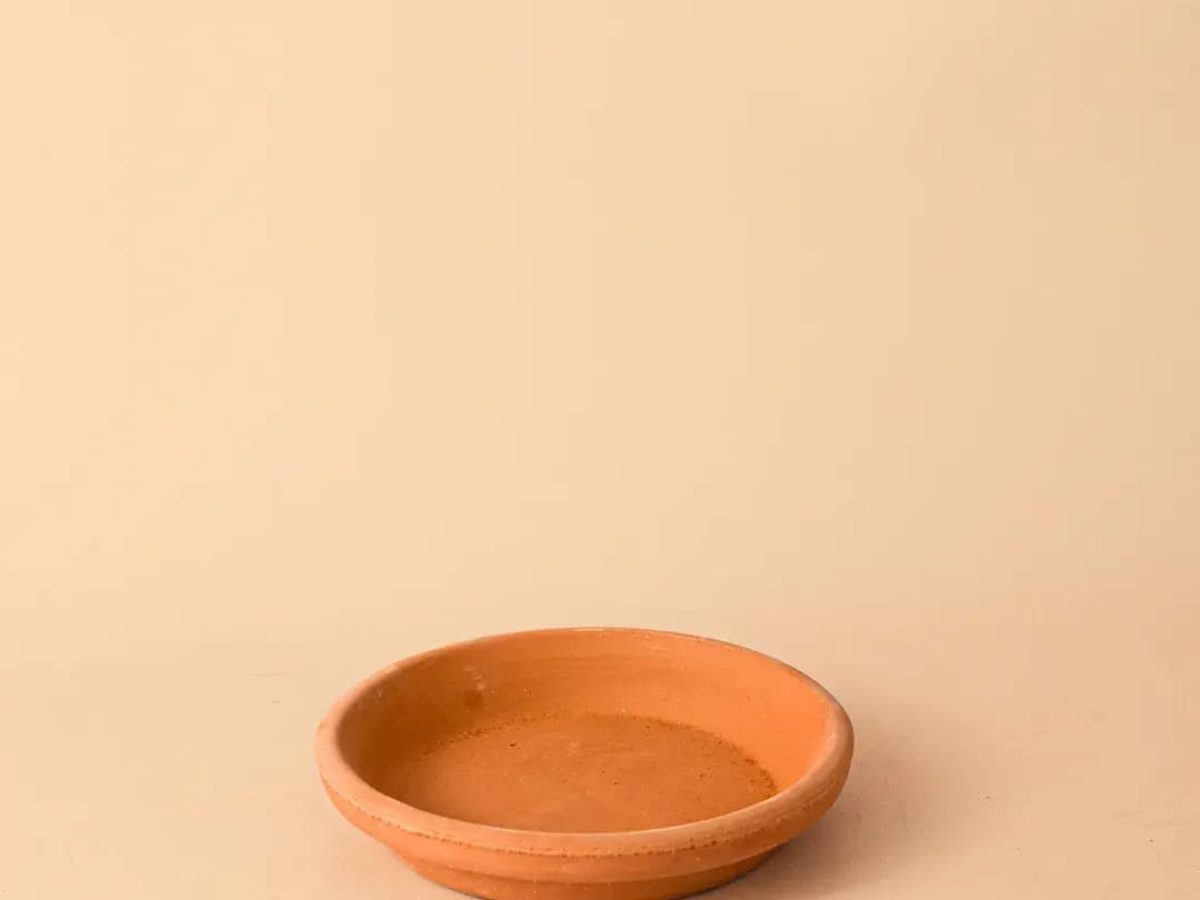Plato de Maceta Terracota 14 cm Interior y Exterior Pur Plant