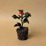acebo ilex mini