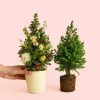 arbol-navidad-mini-noel