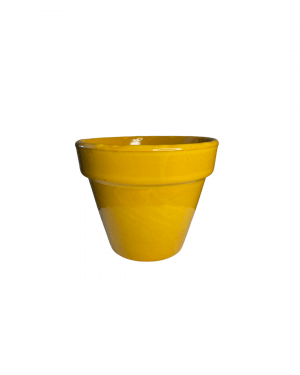 maceta-clasic-amarillo-15cm