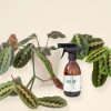 makeup250ml-maranta