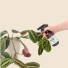 makeup250ml-planta