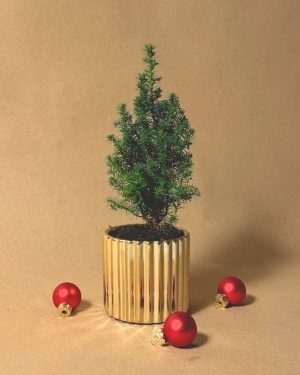 mini arbol navidad