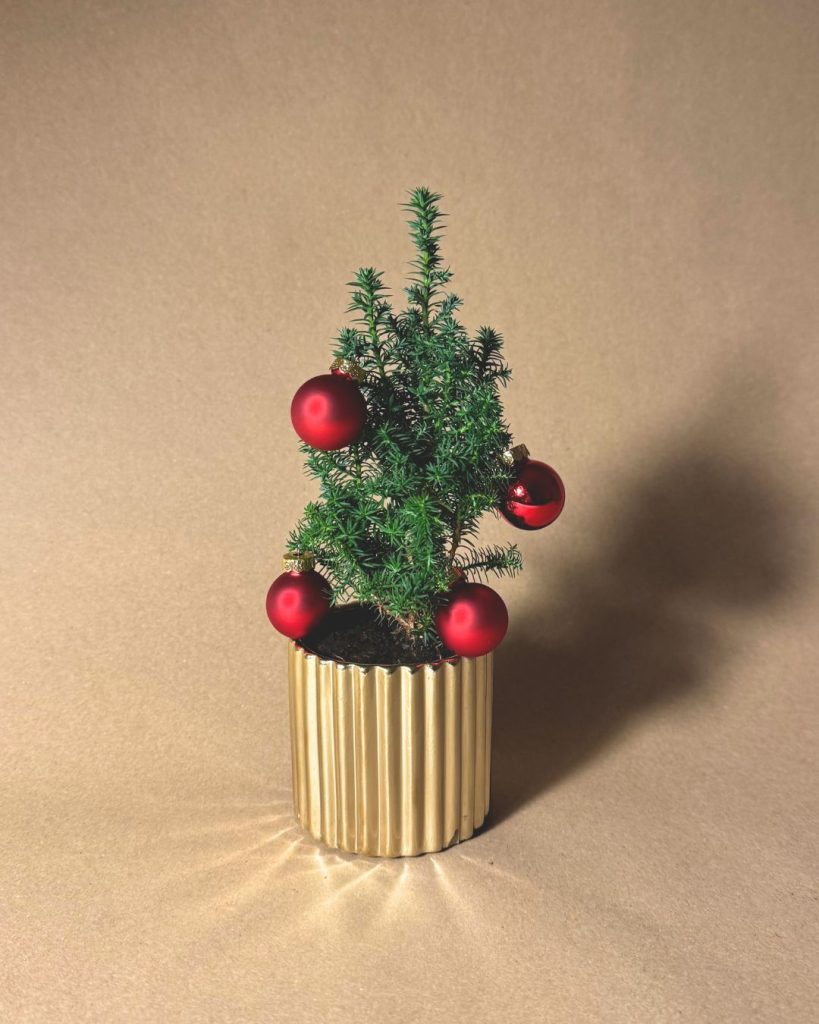 mini arbol navidad bolas