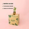palma areca mini packaging