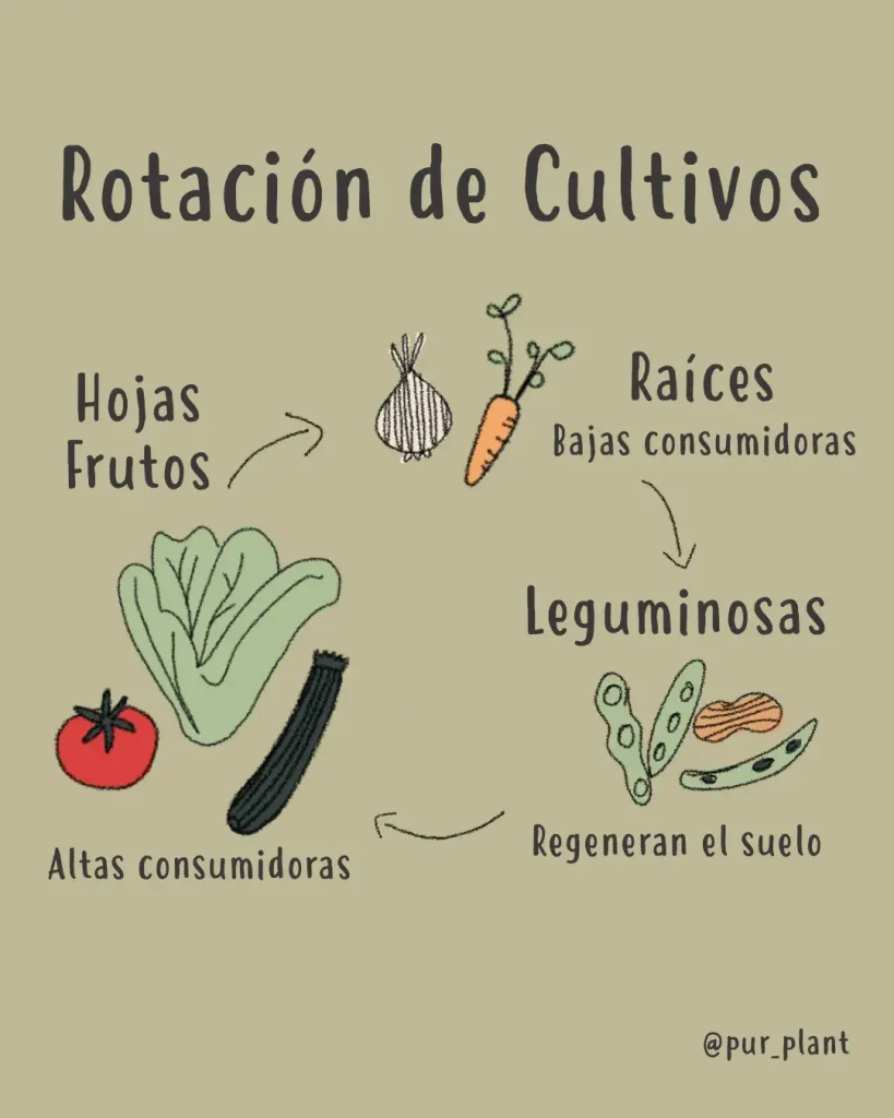 rotacion-cultivos