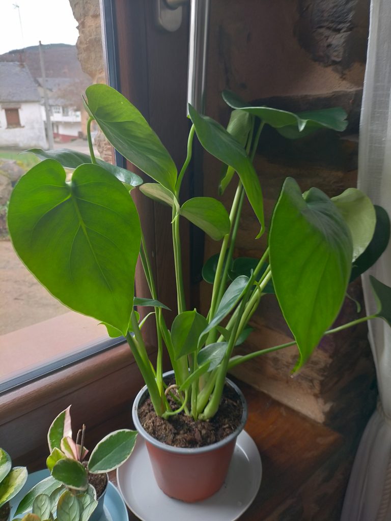 Imagen #1 de Sara Alonso Vega