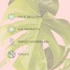 cuidados-monstera-deliciosa-mediana