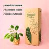 maranta lemon lime-packaging