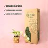 envio potho variegado packaging
