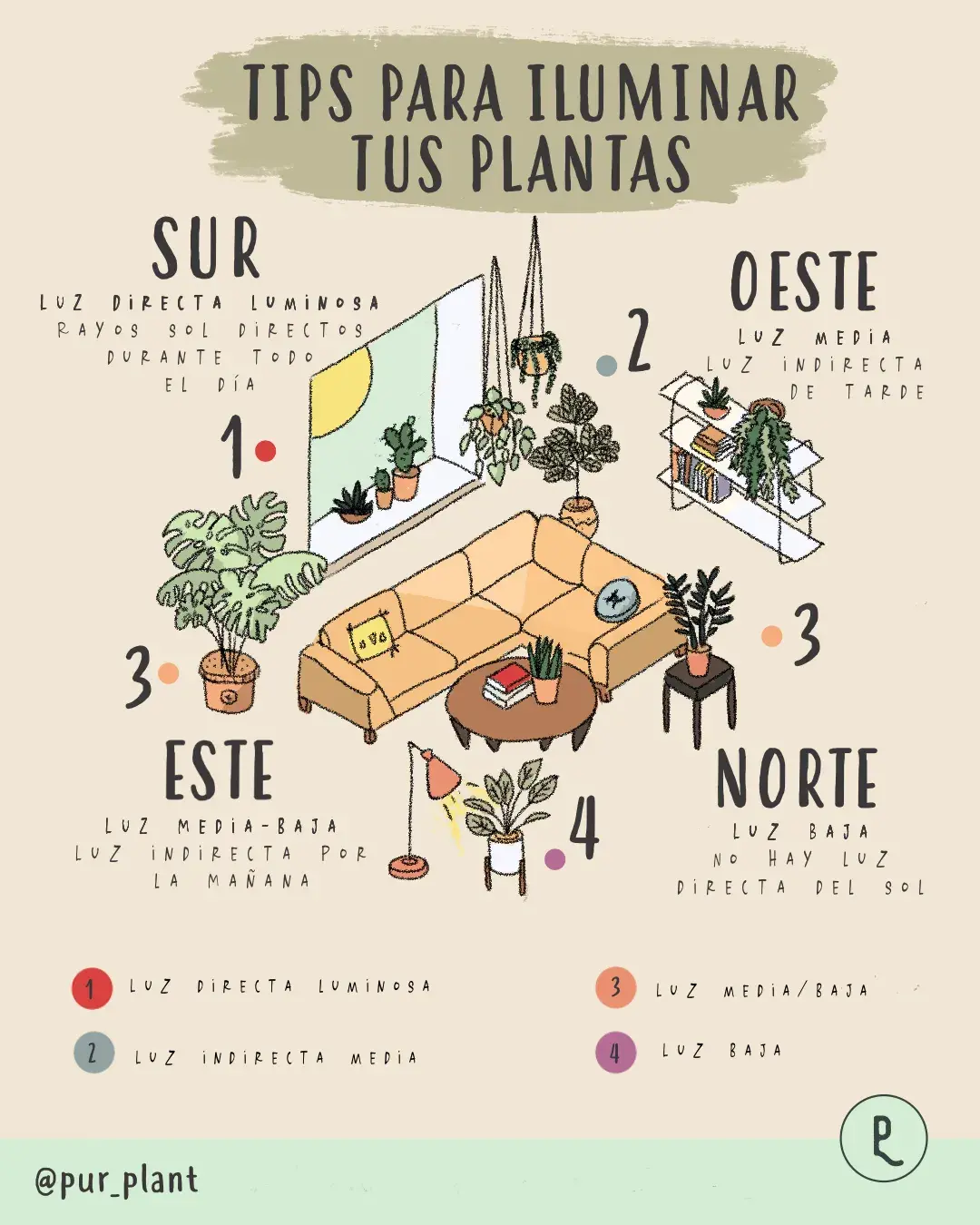 tiposdeluzparaplantas tipos de luz para plantas