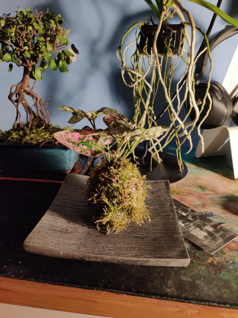 Imagen #1 de Maria Ángeles Rojo Mira