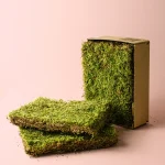 Musgo Natural para Terrario