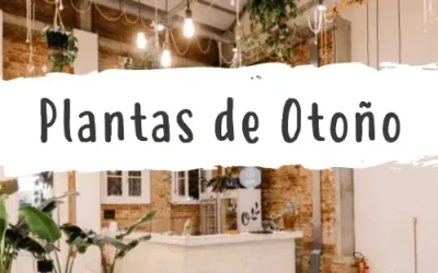 Las plantas perfectas para otoño