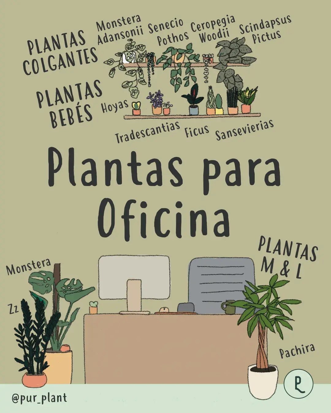 plantas para oficina ilustracion
