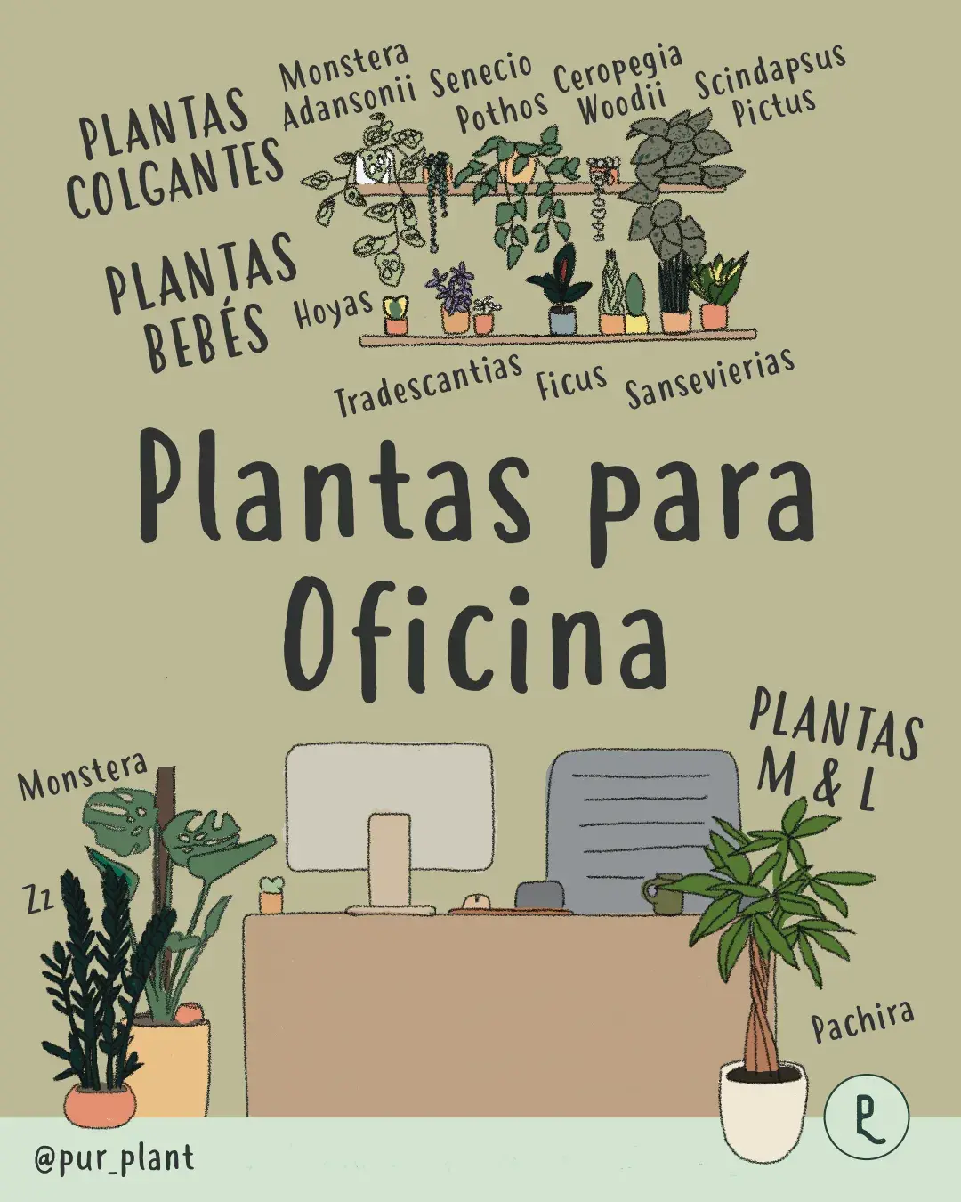 plantasparaoficina (1) plantas para oficina ilustracion