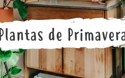Plantas de Primavera