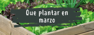 que plantar en marzo