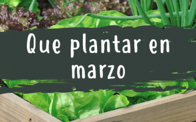 Qué plantar en Marzo