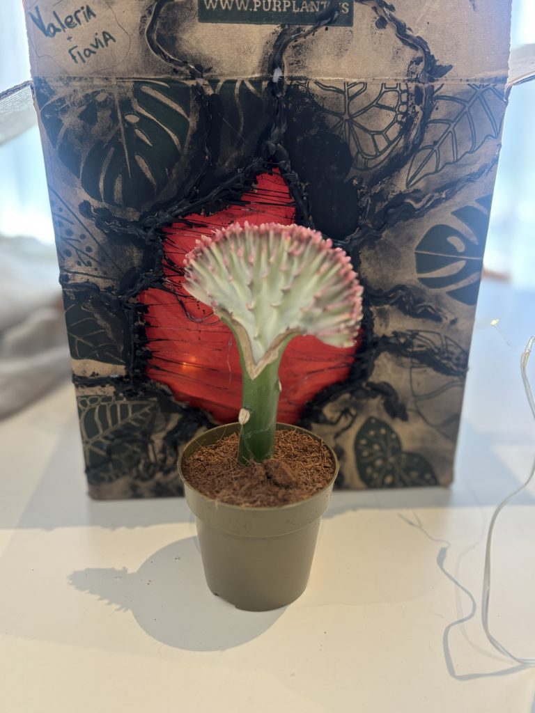 Imagen #2 de PILAR SANCHEZ AGUSTINO