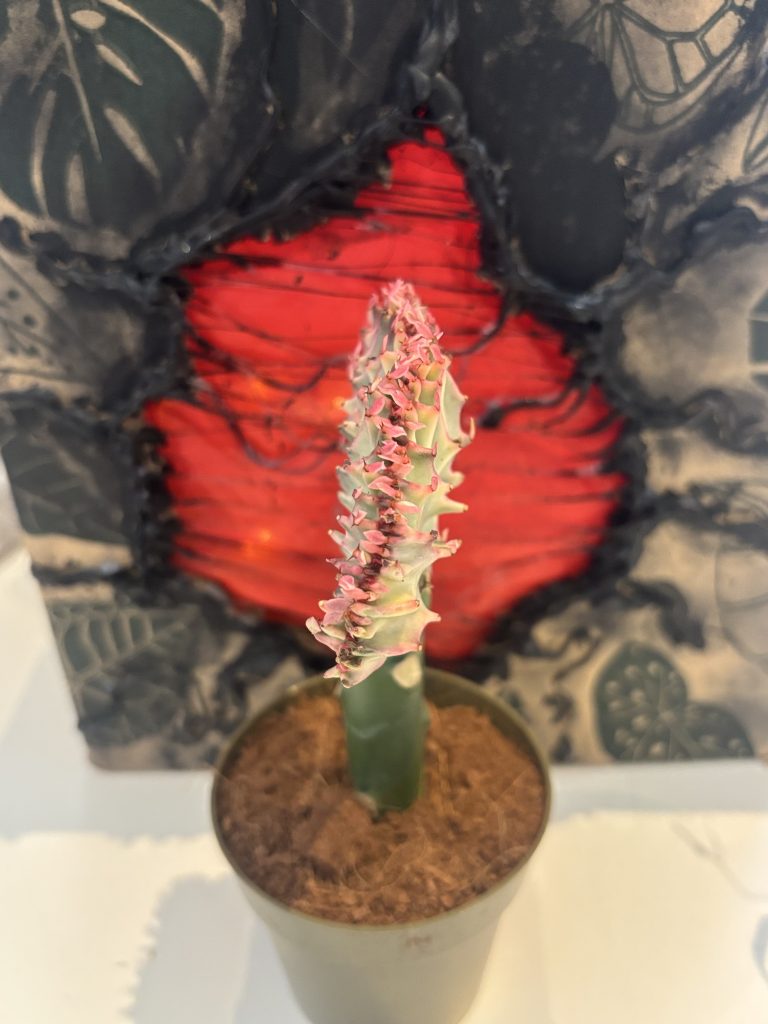 Imagen #1 de PILAR SANCHEZ AGUSTINO