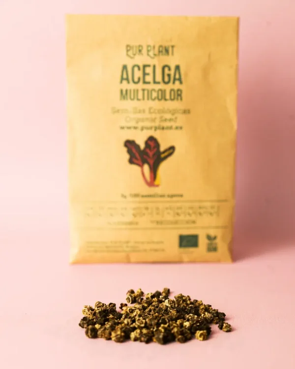 acelga-multicolor-semillas