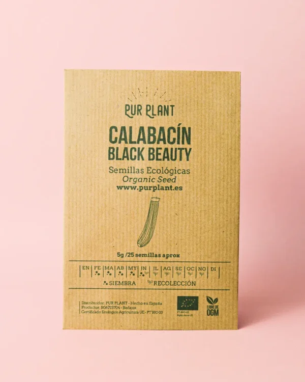 calabacin-black-beauty