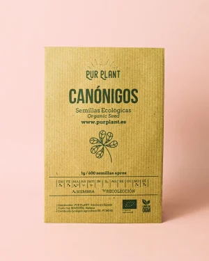 canonigos