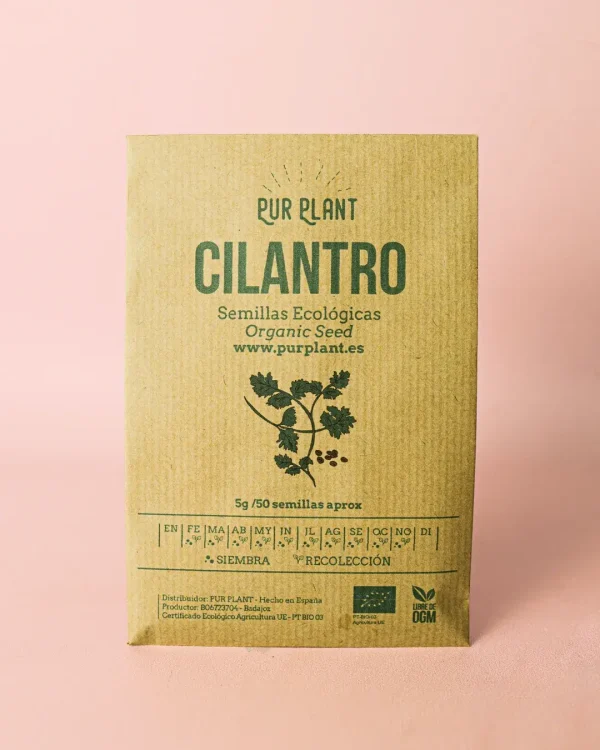 cilantro