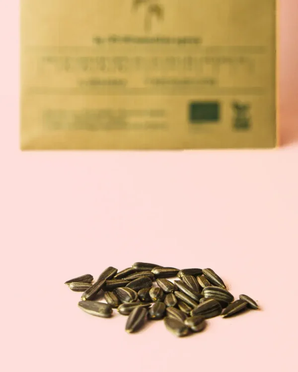 girasol-gigante-semillas
