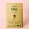 girasol-velvet-queen