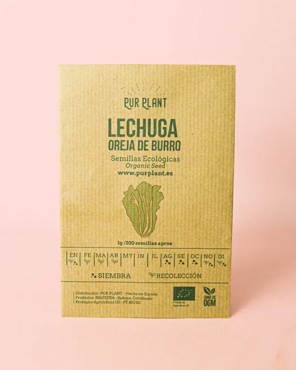 lechuga-oreja-burro