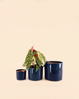 maceta azul noche m medidas