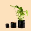 maceta-negra-l-planta