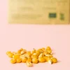 maiz-semillas