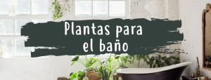 plantas-baño