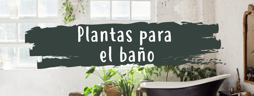 plantas-baño