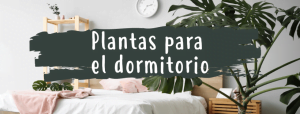 plantas-dormitorio