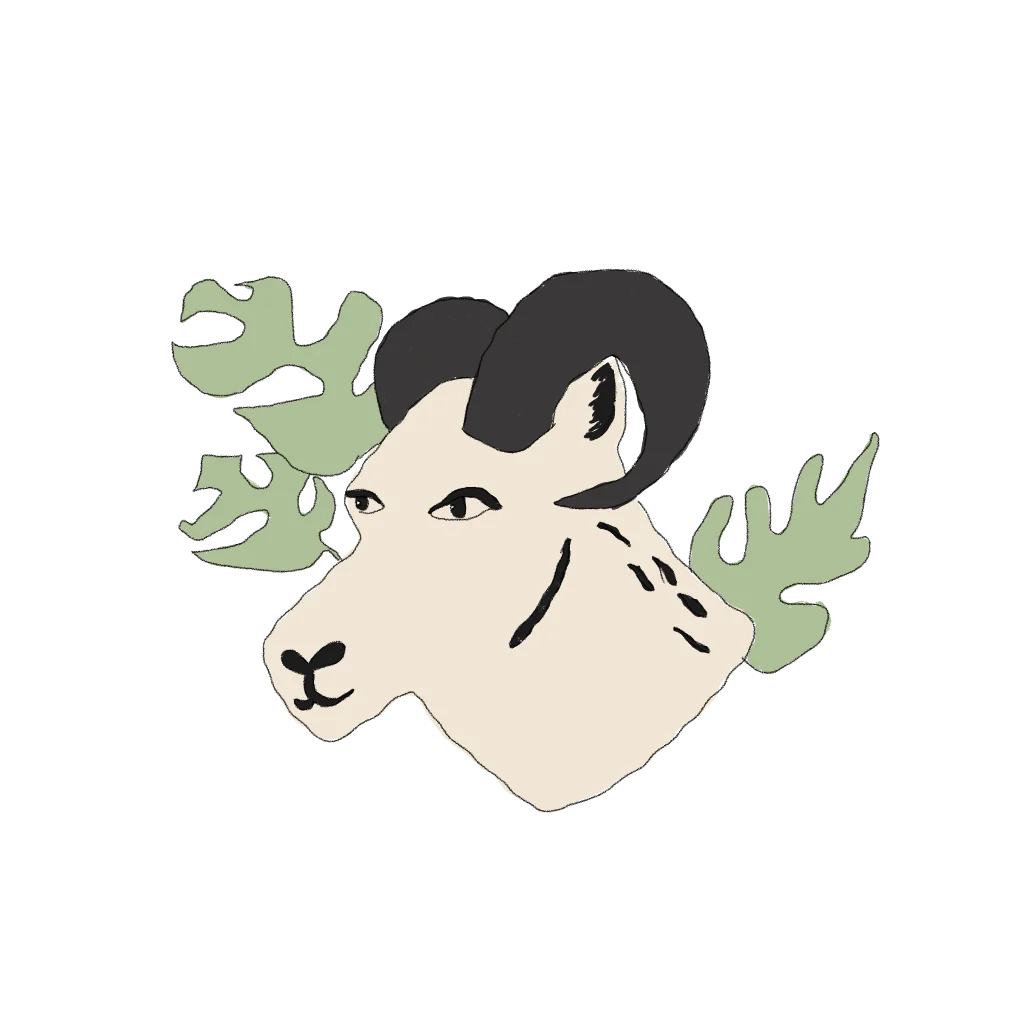 aries horoscopo