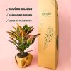 croton packaging