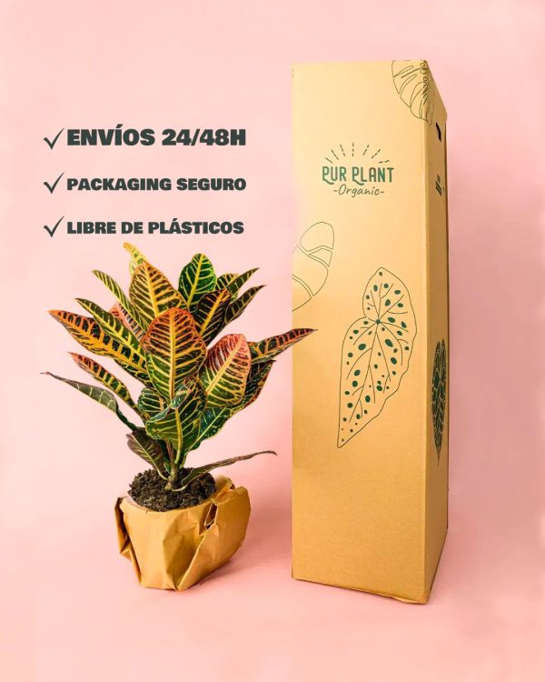 croton packaging