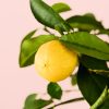 limonero-fruta