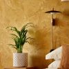palma areca m contexto