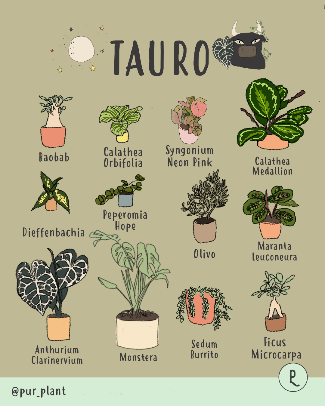 plantas-tauro plantas-tauro