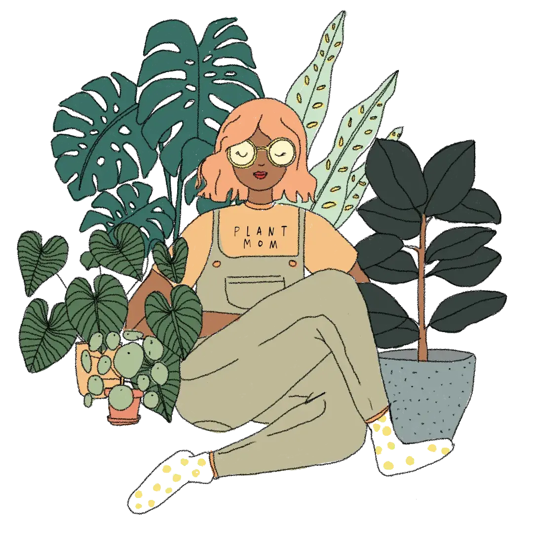 mama plantas