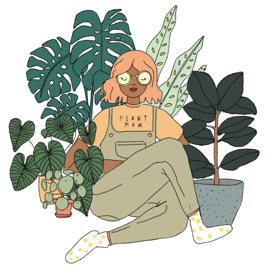 plantmom mama plantas