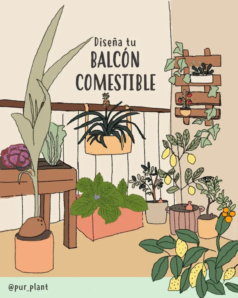 balconcomestible